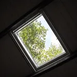 Knus Boshuisje Onder De Eiken * Ermelo