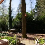 Knus Boshuisje Onder De Eiken Holiday home