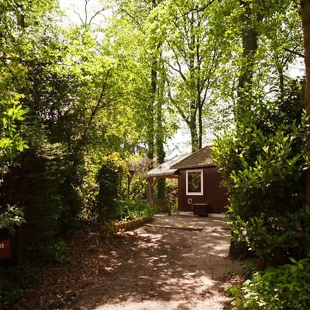 Holiday home Knus Boshuisje Onder De Eiken Ermelo