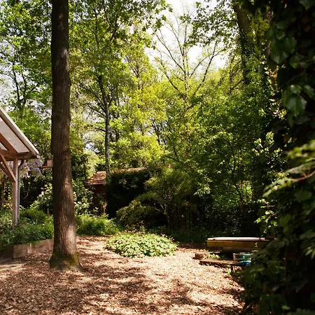 Holiday home Knus Boshuisje Onder De Eiken