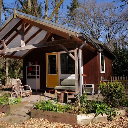 Knus Boshuisje Onder De Eiken Holiday home *