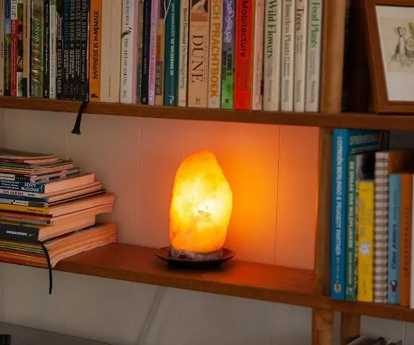 Knus Boshuisje Onder De Eiken