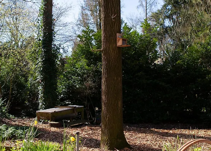 Knus Boshuisje Onder De Eiken Сasa de vacaciones