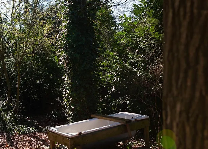 Knus Boshuisje Onder De Eiken *