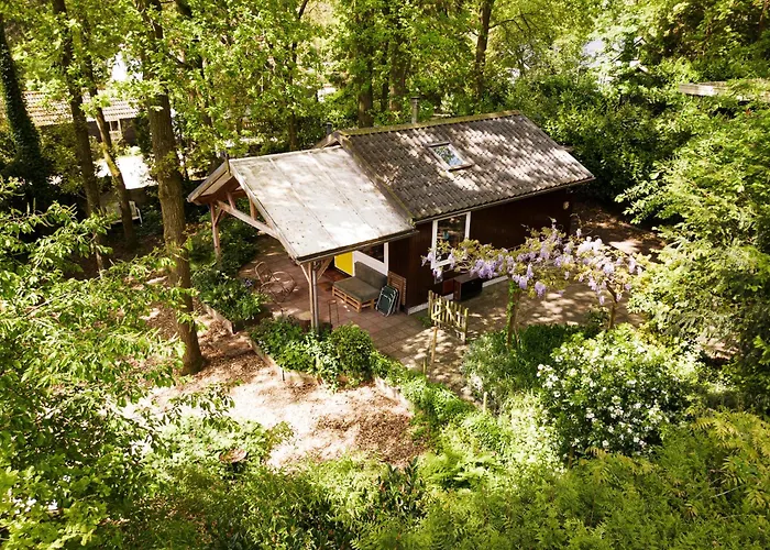 Knus Boshuisje Onder De Eiken Ermelo